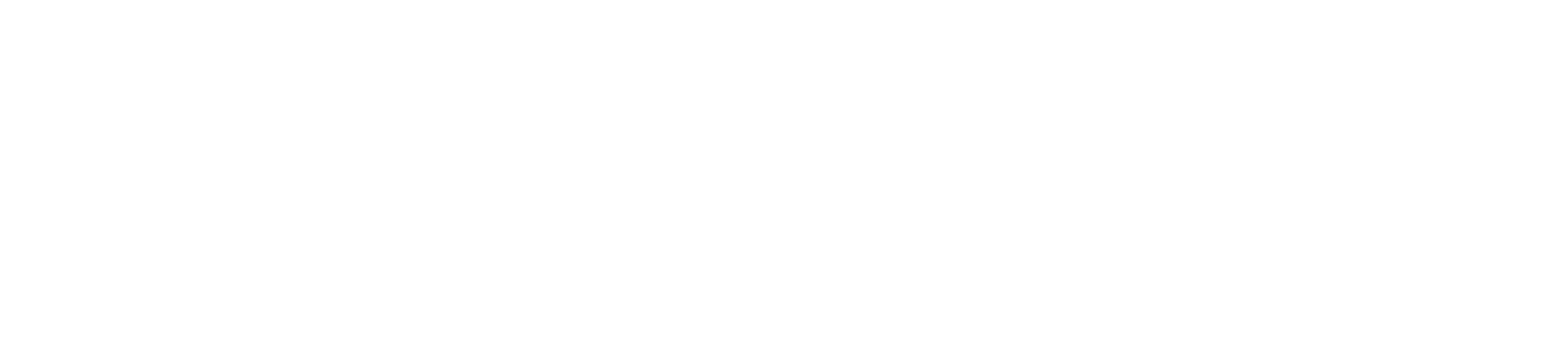 VISE Marketing